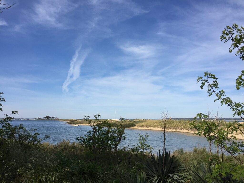 Le Mimbeau