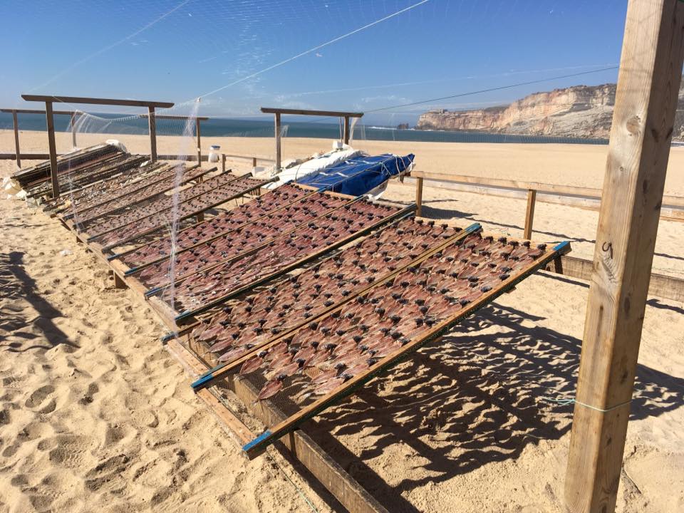 Nazaré beach 7