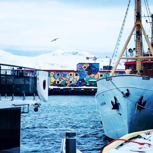 Norvège en catamaran hybride 4