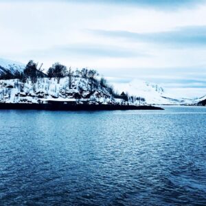 Norvège en catamaran hybride 9
