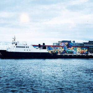 Norvège en catamaran hybride 5