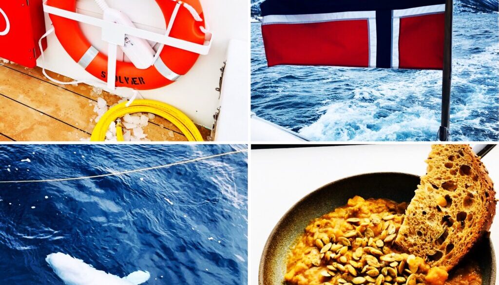 Norvège en catamaran hybride 1