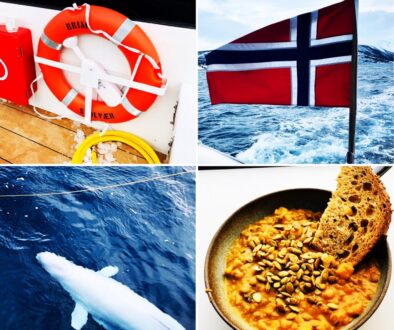 Norvège en catamaran hybride 1