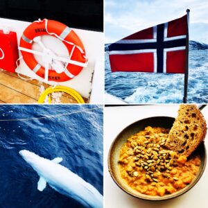 Norvège en catamaran hybride 1