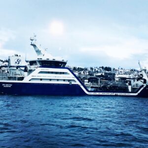 Norvège en catamaran hybride 7