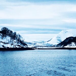 Norvège en catamaran hybride 6