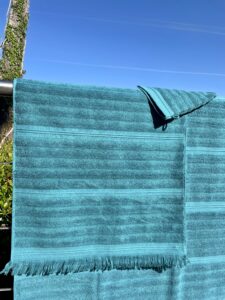 Éponge bio bleue